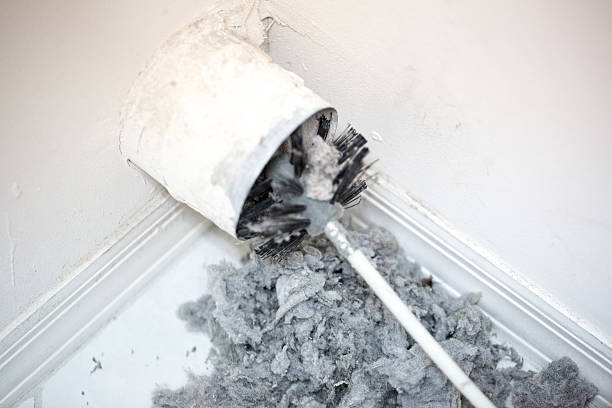 Best HVAC Duct Inspection Services  in Fort Ashby, WV